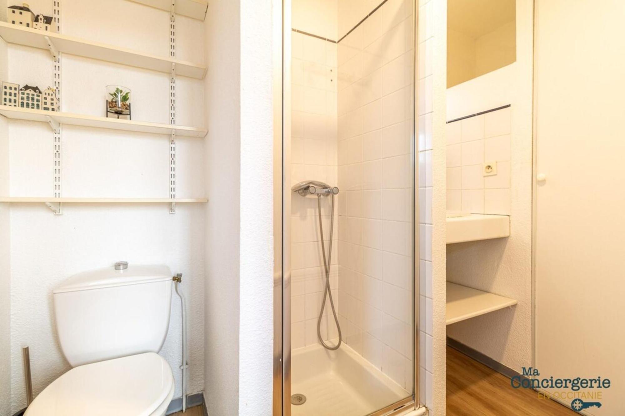 Parga 41 - 500 Metres Du Capitole - Hypercentre Tlse Apartment Тулуза Екстериор снимка