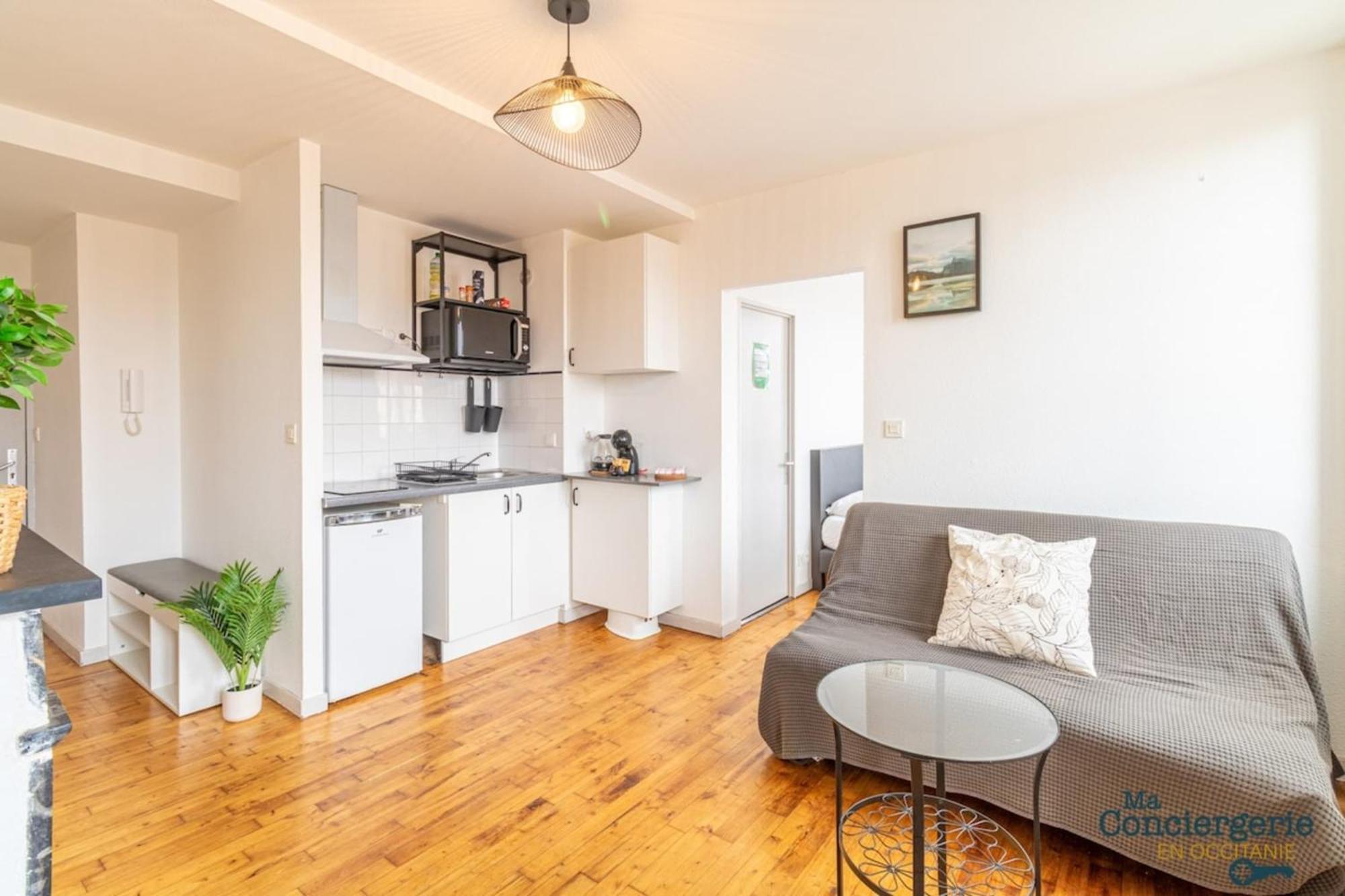 Parga 41 - 500 Metres Du Capitole - Hypercentre Tlse Apartment Тулуза Екстериор снимка
